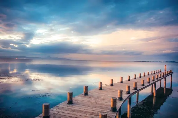 驴打滚哪个牌子好