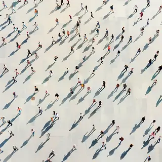 香蕉哪个品种好管理